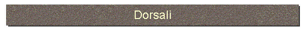Dorsali