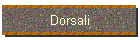 Dorsali