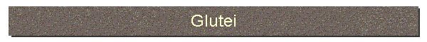 Glutei