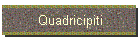 Quadricipiti