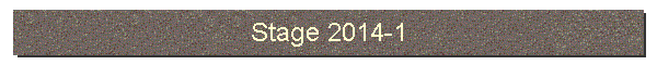 Stage 2014-1